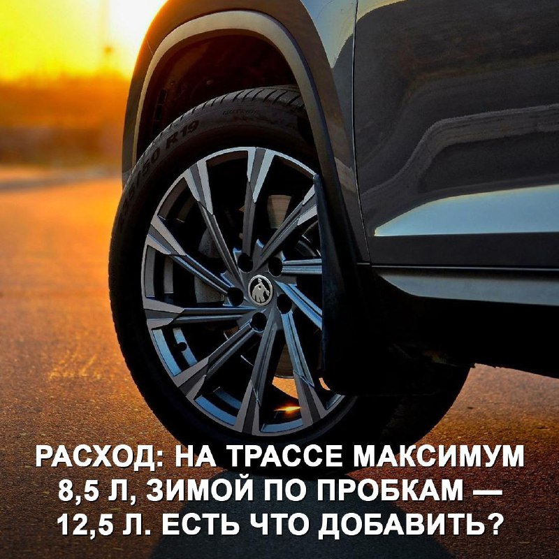 Skoda Kodiaq: Оценка реального владельца