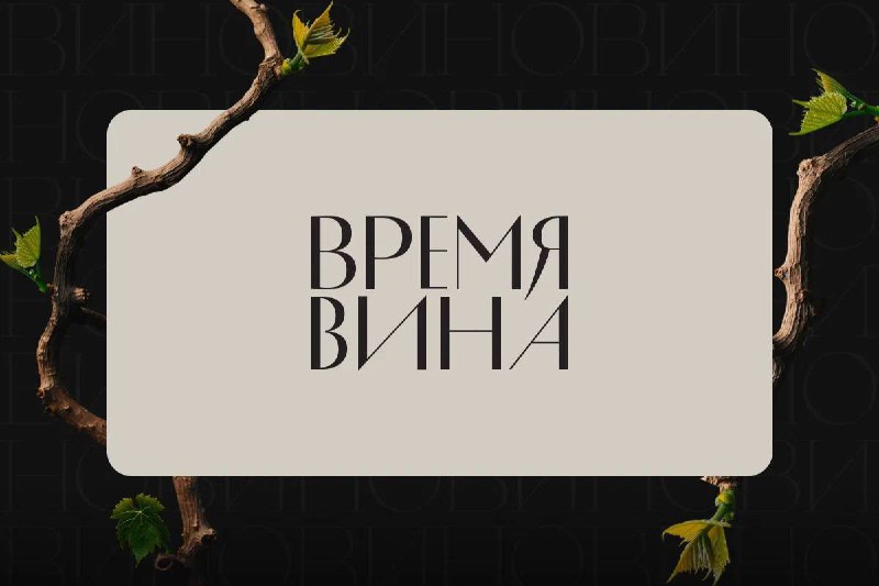 Фестиваль вин: исследование российской винной культуры