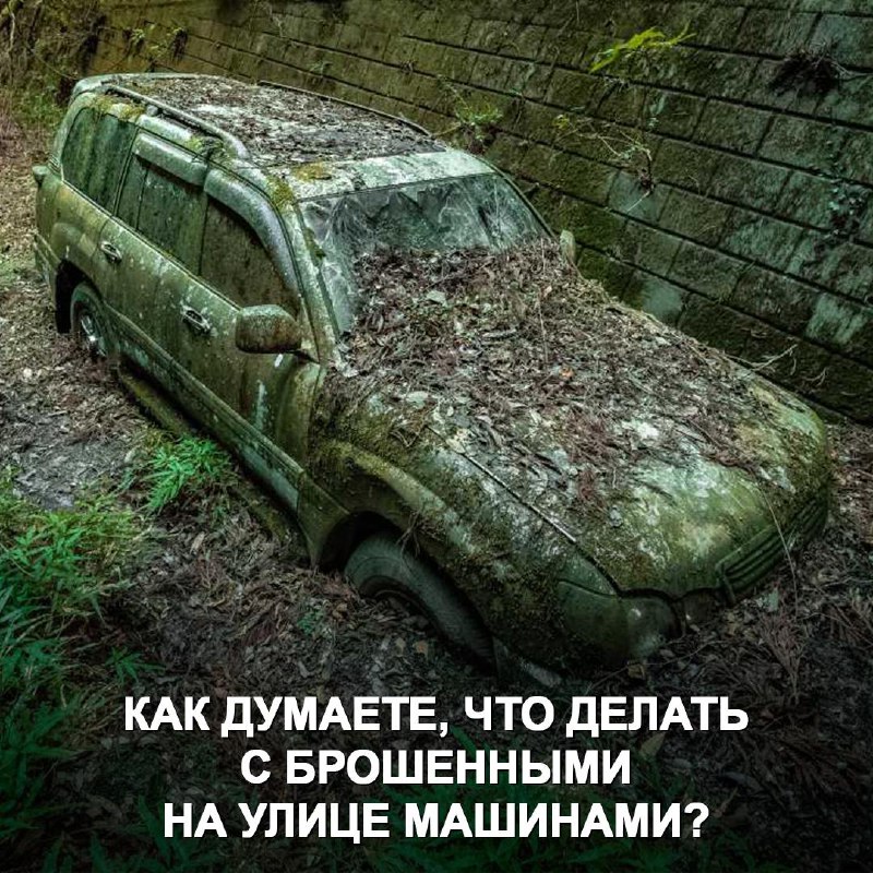 Мнение водителей о брошенных автомобилях