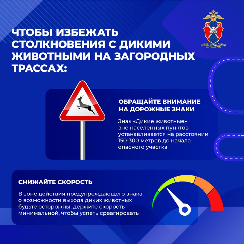 Как предотвратить столкновения с дикими животными на загородных дорогах