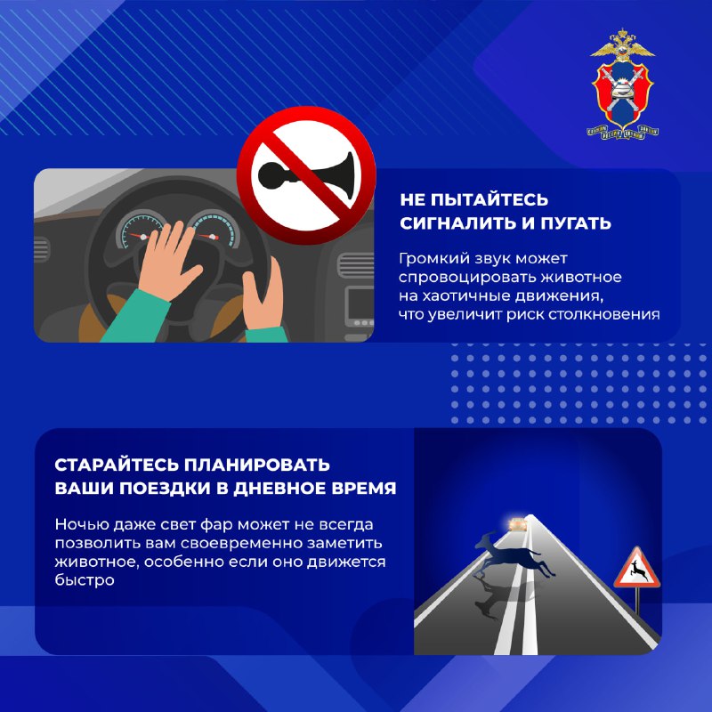 Как предотвратить столкновения с дикими животными на загородных дорогах
