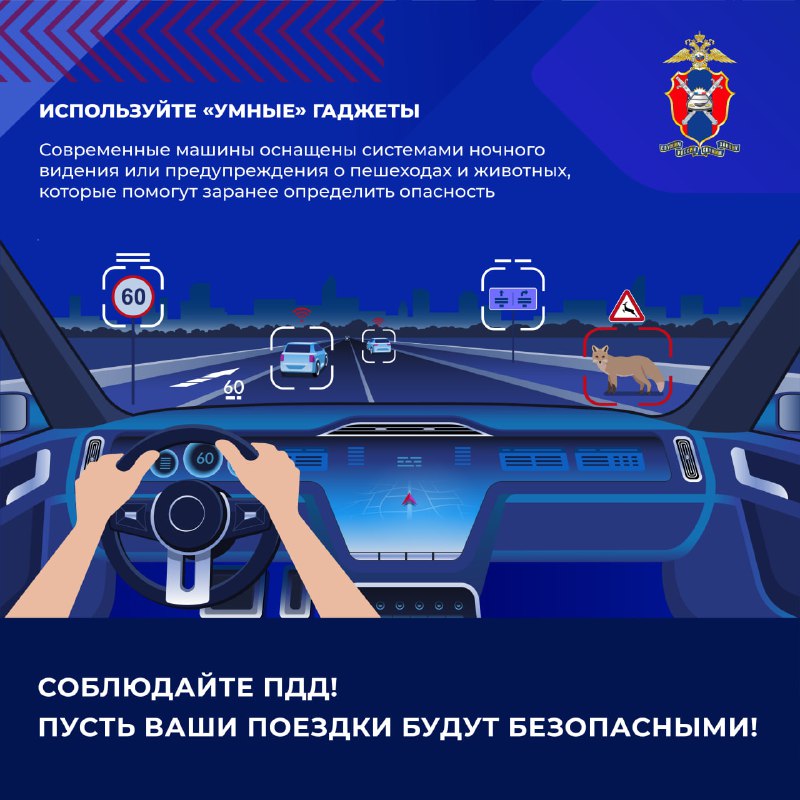 Как предотвратить столкновения с дикими животными на загородных дорогах