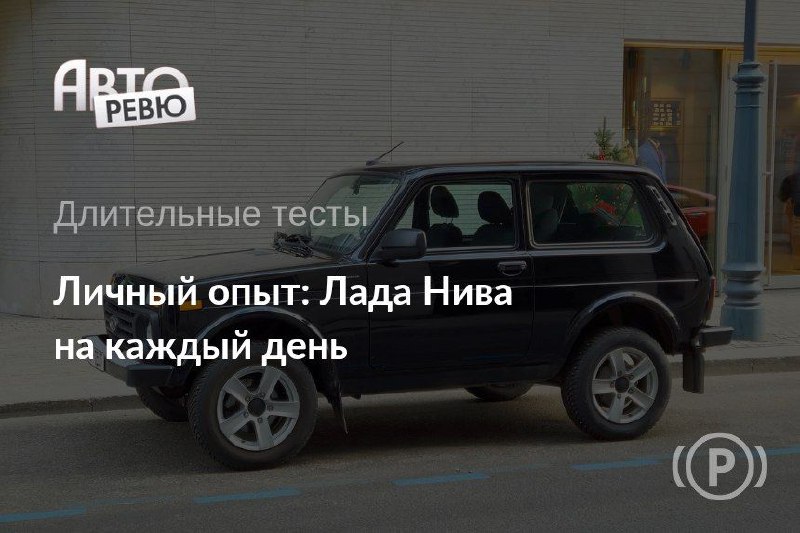 Нива в городской среде: опыт Павла Карина