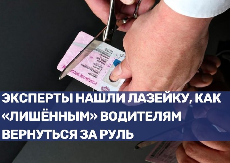 Огромная дыра в законе: как вернуть права лишённым водителям