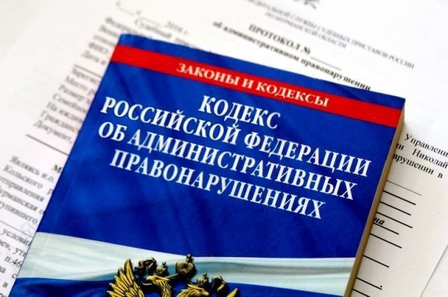 Сроки уплаты административных штрафов в 2025 году