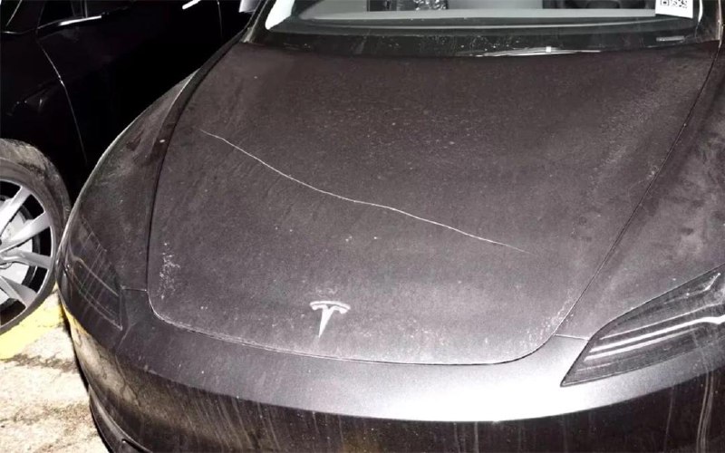 Масштабный акт вандализма против автомобилей Tesla в Канаде