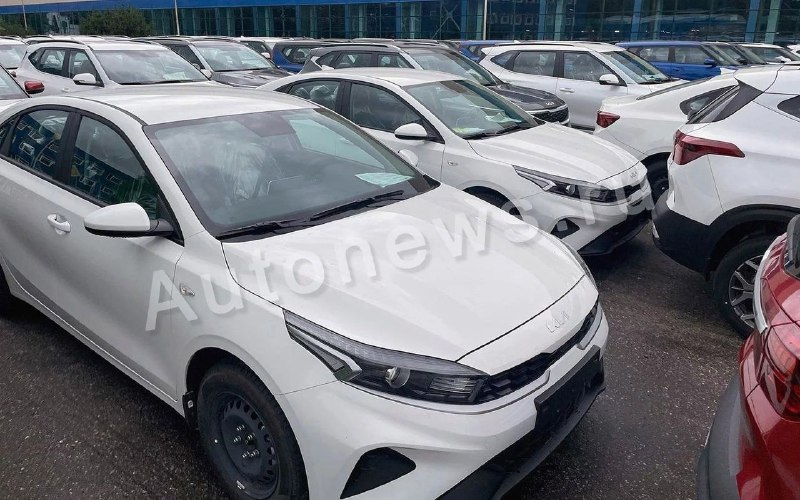 Kia не планирует возвращение в Россию в 2025 году