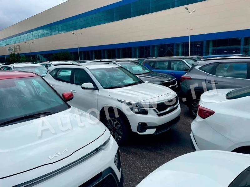 Kia не планирует возвращение в Россию в 2025 году