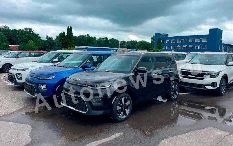 Kia не планирует возвращение в Россию в 2025 году