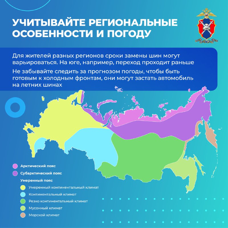 Когда и как правильно менять сезонные шины для безопасной эксплуатации автомобиля