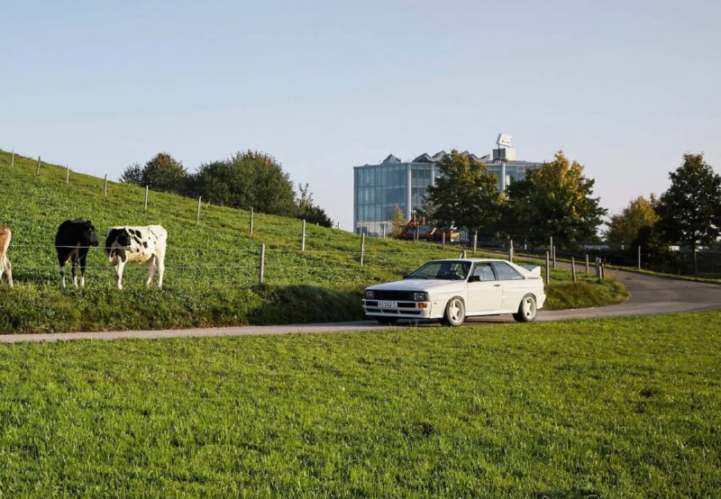 Возрождение культового Audi Quattro 80-х с современными техническими решениями