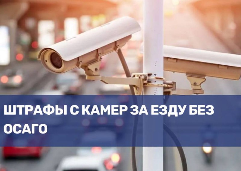 С 2025 года введут автоматическую систему оповещения о необходимости оформления ОСАГО