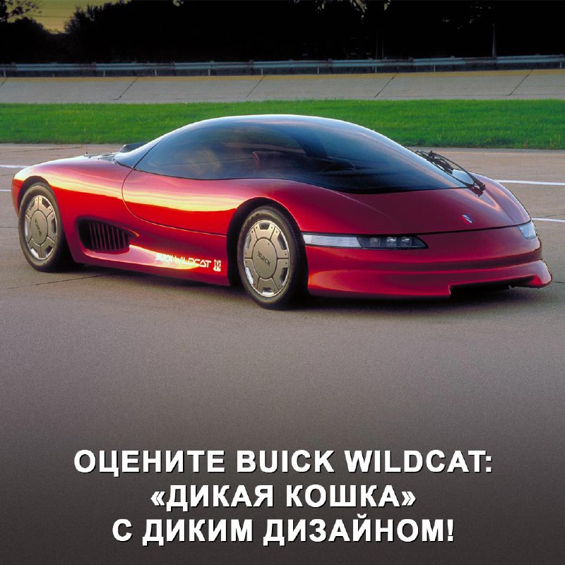Экспериментальный Buick Wildcat: концепт из 80-х с футуристическим дизайном
