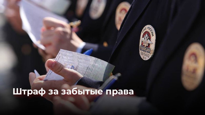 Обсуждение отмены штрафов за отсутствие бумажных водительских прав