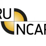 Возобновление работы российского рейтинга безопасности автомобилей RuNCAP в 2025 году