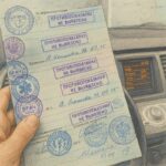 Новые правила аннулирования водительских прав при выявлении медицинских противопоказаний