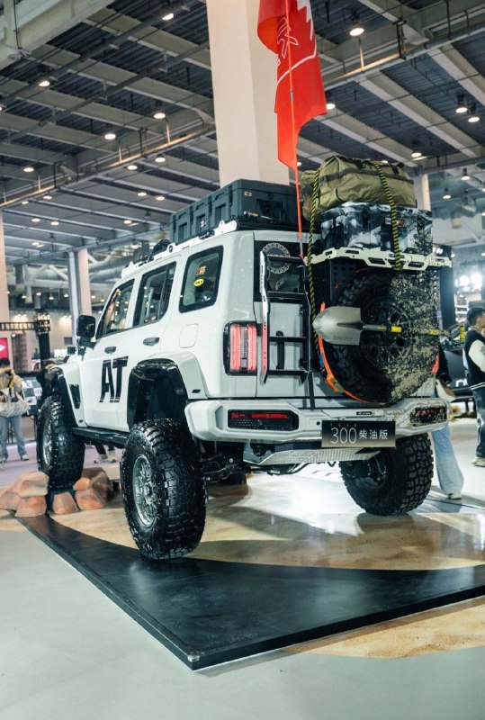 Популярность Tank 300 в Китае: оффроуд и тюнинг