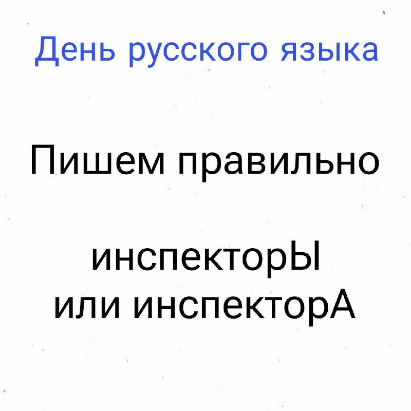 Как правильно говорить о сотрудниках ГИБДД в День русского языка