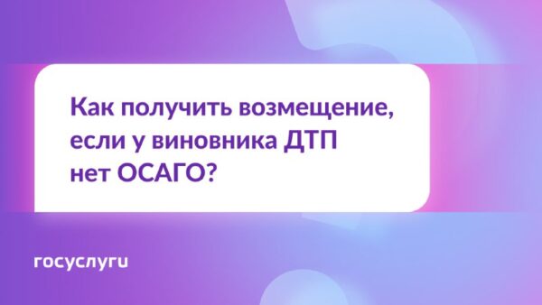 Что делать, если у виновника ДТП нет ОСАГО: пошаговая инструкция