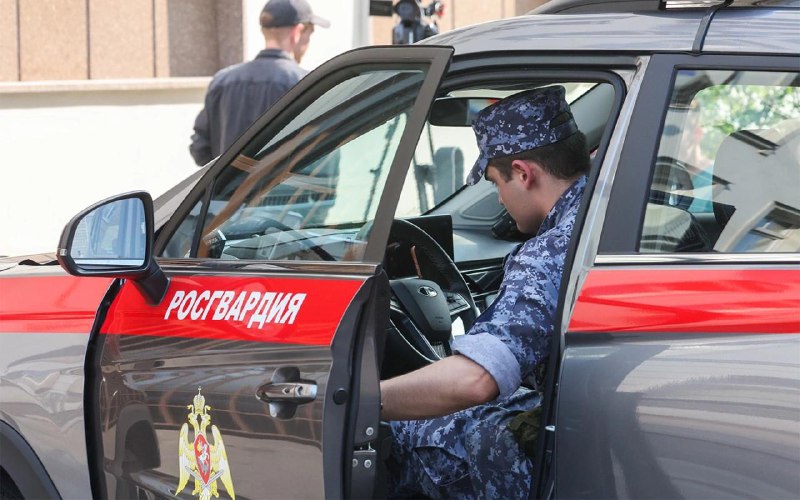 Закон о бесплатном проезде силовых структур по платным дорогам прошел одобрение