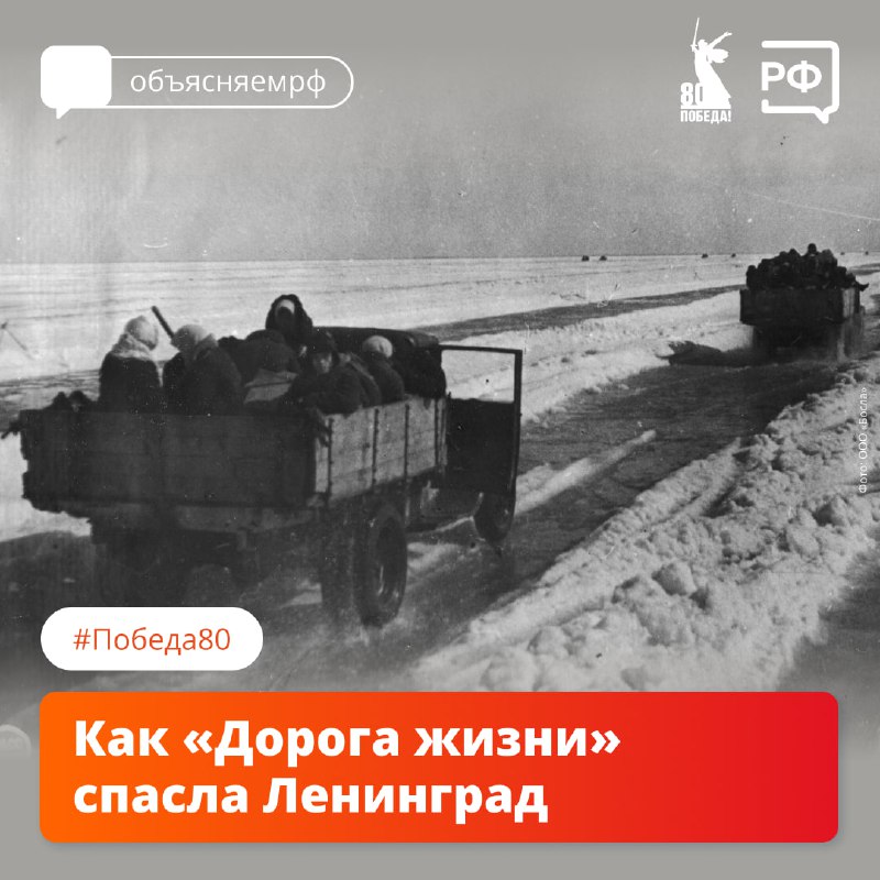 ⭐Вместо асфальта — лёд, вместо дорожных знаков — еловые ветки. ⭐Вместо асфальта — лёд, вместо дорожных знаков — еловые ветки.
