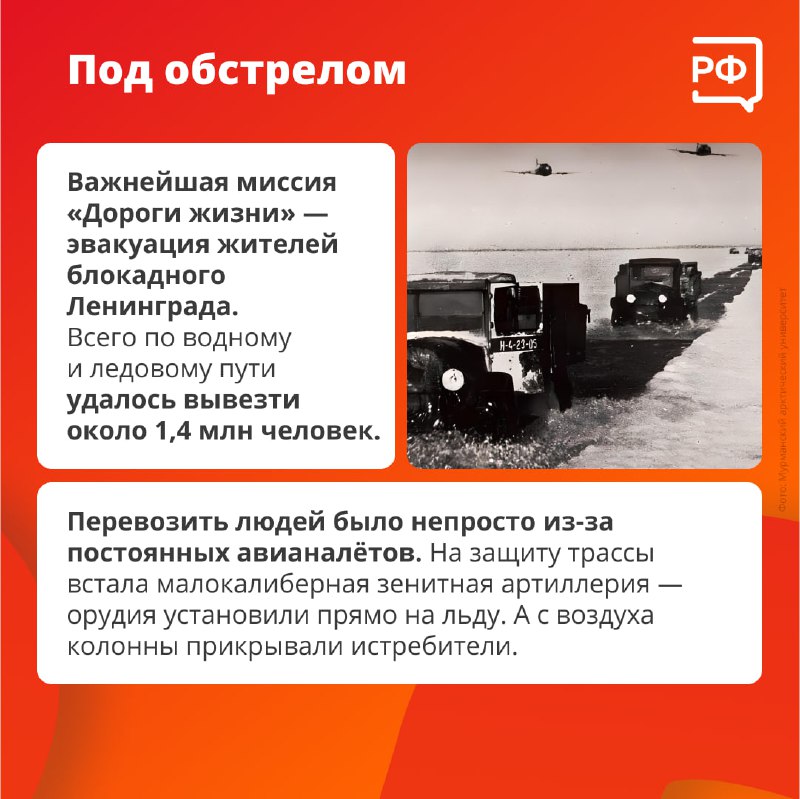 ⭐Вместо асфальта — лёд, вместо дорожных знаков — еловые ветки. ⭐Вместо асфальта — лёд, вместо дорожных знаков — еловые ветки.