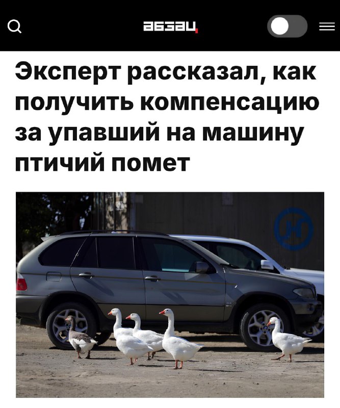 Как получить компенсацию за повреждение автомобиля в результате падения птичьего помета
