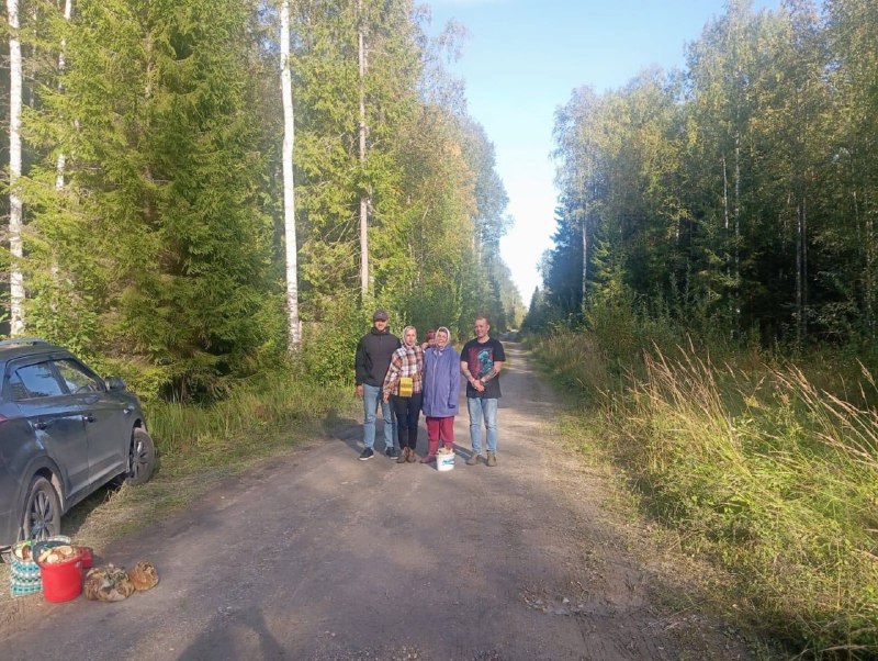 Инспекторы ГИБДД помогли заблудившимся грибникам в Вологодской области