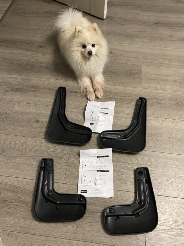 🐕 Пушистый DRIVE2Косточки бывают разные.
