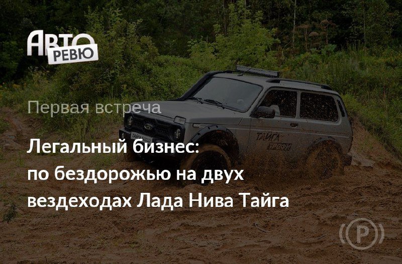 Размышления о предназначении Лада Нива Тайга и сходстве с моделями Нива Бронто