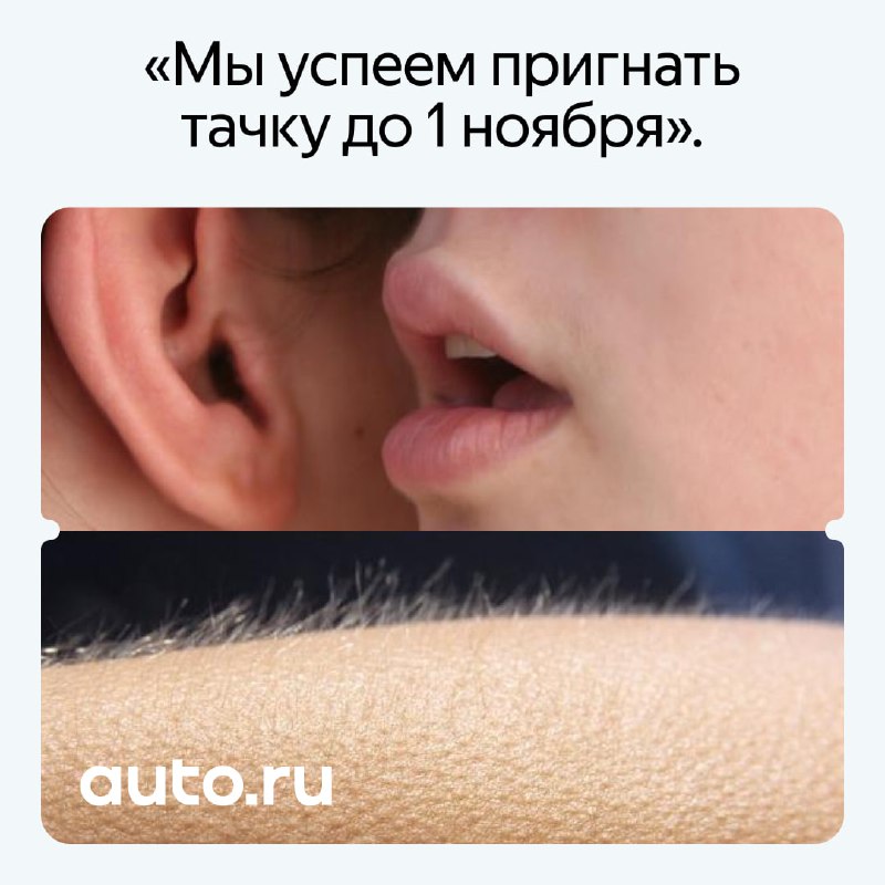 Изменения в утильсборе могут повысить цены на популярные автомобили Изменения в утильсборе могут повысить цены на популярные автомобили