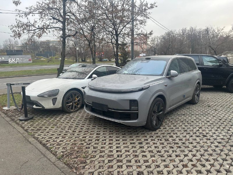 Перспективы рынка электромобилей и автомобильных моделей в условиях экспортного моратория в Китае Перспективы рынка электромобилей и автомобильных моделей в условиях экспортного моратория в Китае