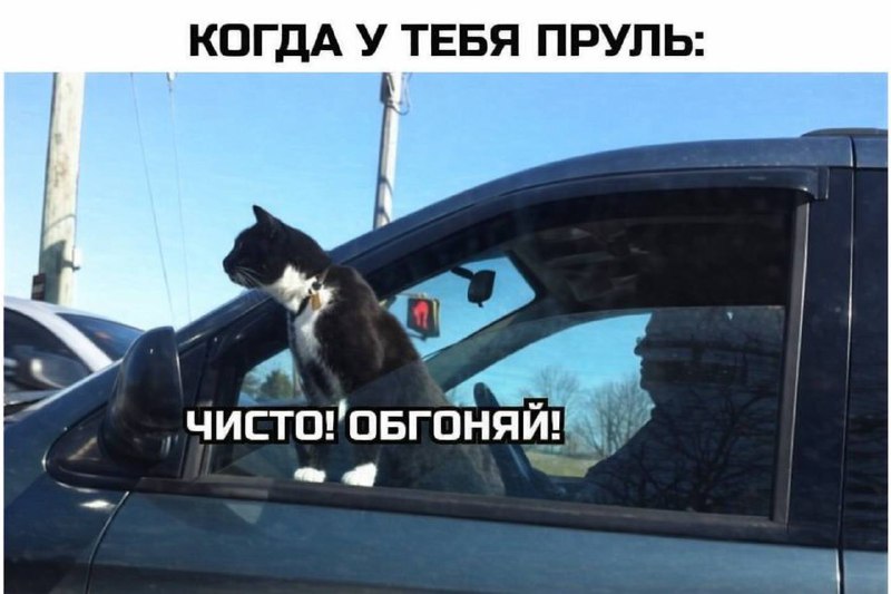 В России планируют пересматривание стандартов для праворульных автомобилей В России планируют пересматривание стандартов для праворульных автомобилей