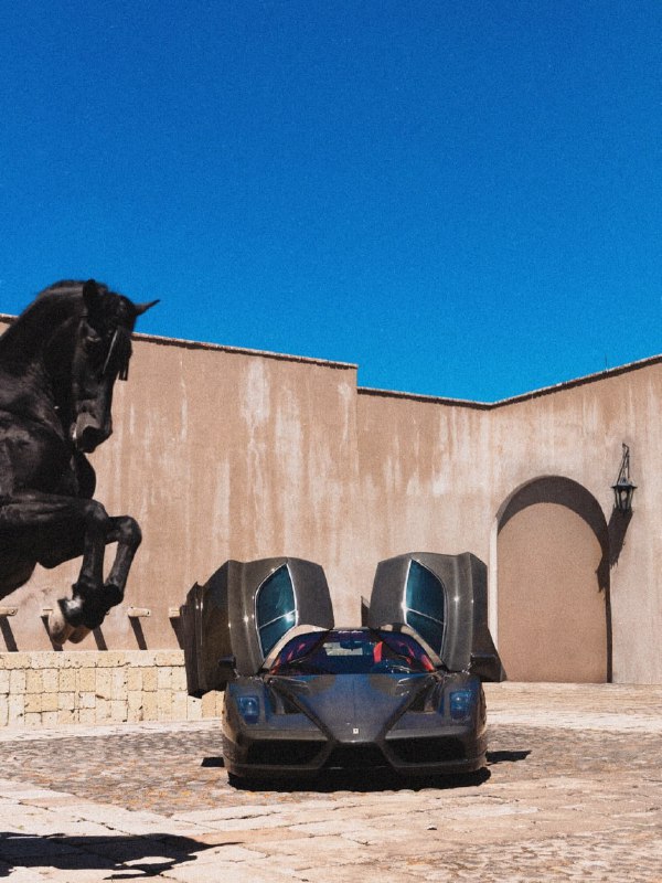 В Мексике создали реалистичную интерпретацию логотипа Ferrari