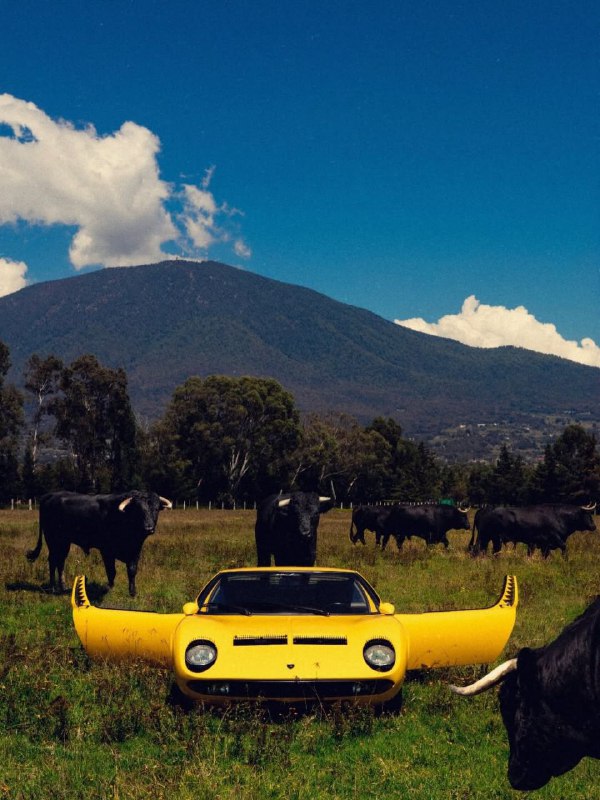 История легендарного логотипа Lamborghini: символ силы и страсти История легендарного логотипа Lamborghini: символ силы и страсти