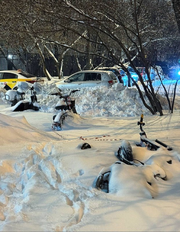 Возвращение к обычному ритму жизни в Москве после зимних каникул Возвращение к обычному ритму жизни в Москве после зимних каникул