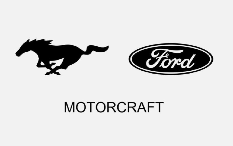 Ford подает заявки на регистрацию новых брендов и логотипов в России Ford подает заявки на регистрацию новых брендов и логотипов в России
