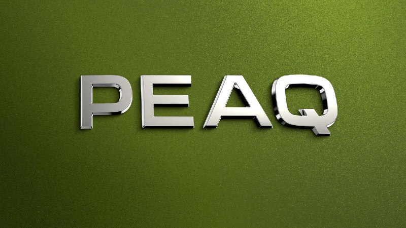 Skoda представила новый электромобиль премиум-класса Skoda Peaq Skoda представила новый электромобиль премиум-класса Skoda Peaq