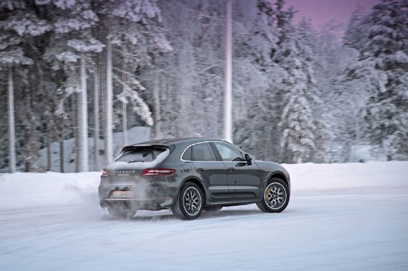 Проблемы с антидроновой защитой у Porsche: как избежать блокировки двигателя Проблемы с антидроновой защитой у Porsche: как избежать блокировки двигателя