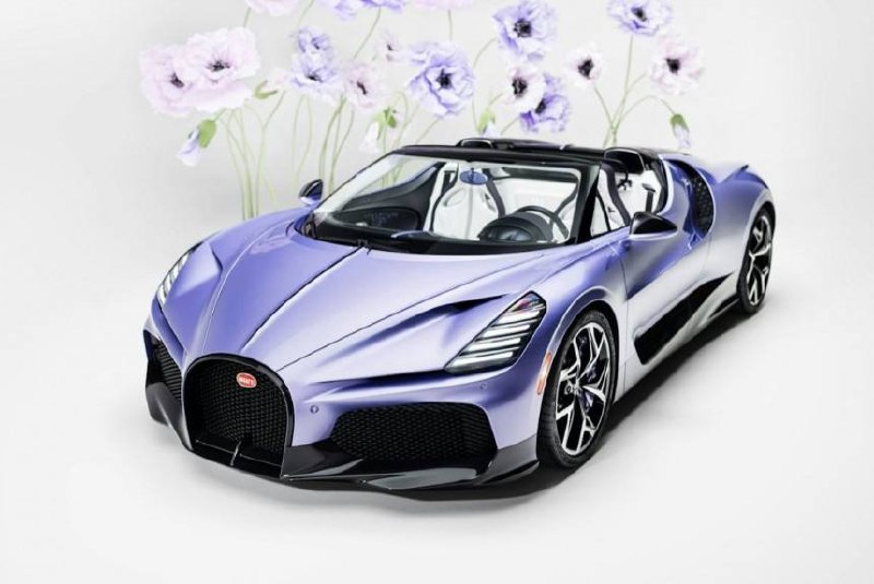 Эксклюзивный родстер Bugatti W16 Mistral Caroline: воплощение изящества и индивидуальности Эксклюзивный родстер Bugatti W16 Mistral Caroline: воплощение изящества и индивидуальности