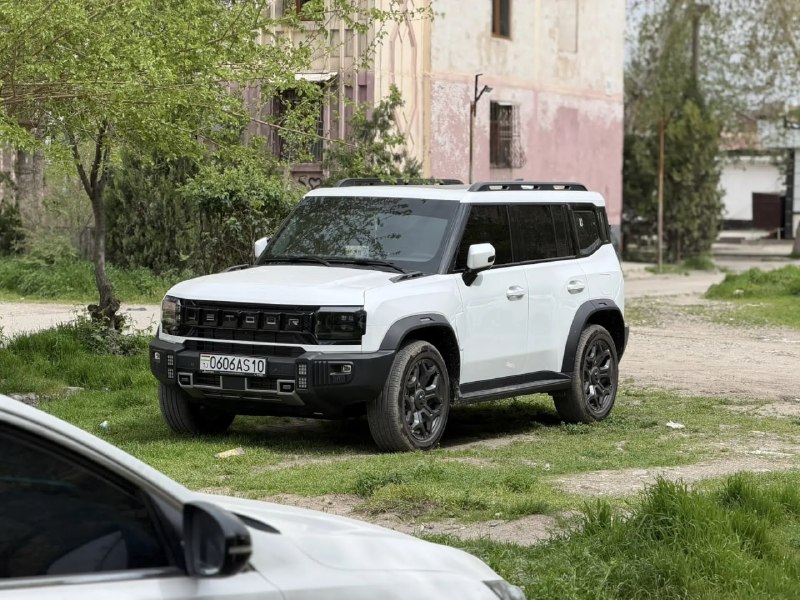 Таджикистан: рост популярности китайских автомобилей и особенности рынка Таджикистан: рост популярности китайских автомобилей и особенности рынка