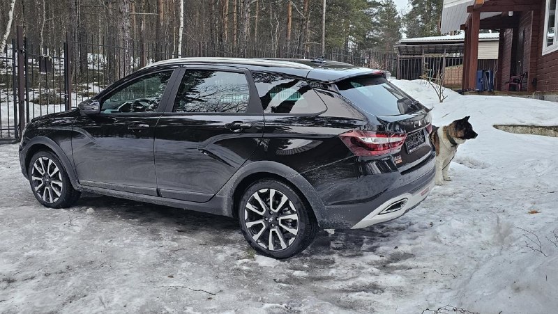 Автомобильные предпочтения любителей домашних животных: стереотипы и реальность Автомобильные предпочтения любителей домашних животных: стереотипы и реальность