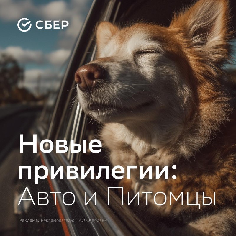 Новые привилегии премиального обслуживания от Сбербанка Новые привилегии премиального обслуживания от Сбербанка