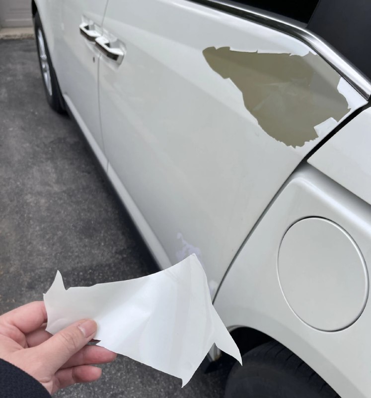 Владельцы Honda и Acura подают иск из-за проблем с покрытием краски Владельцы Honda и Acura подают иск из-за проблем с покрытием краски