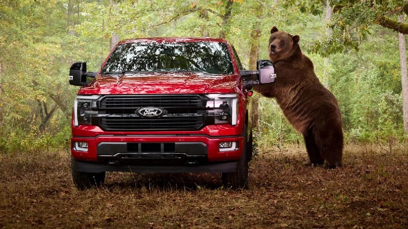 Ford проверил противоугонную систему пикапа F-150 с помощью медведя Ford проверил противоугонную систему пикапа F-150 с помощью медведя