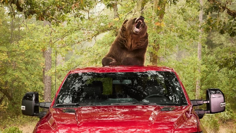 Ford проверил противоугонную систему пикапа F-150 с помощью медведя Ford проверил противоугонную систему пикапа F-150 с помощью медведя