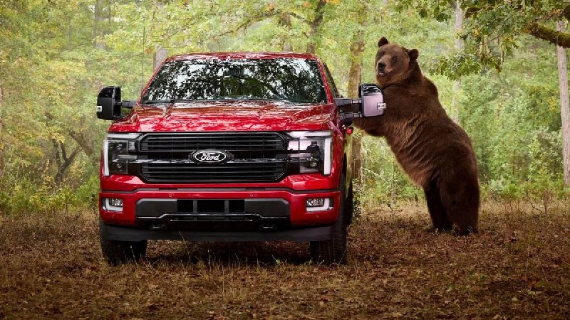 Ford проверил надежность противоугонной системы F-150 с помощью медведя