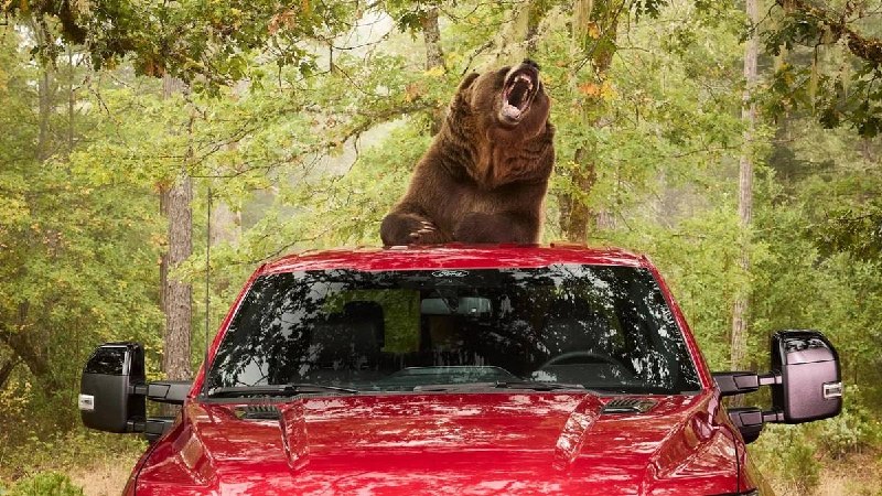 Ford проверил надежность противоугонной системы F-150 с помощью медведя