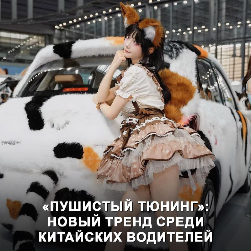 Пушистый тюнинг: китайские водители одевают автомобили в меховые чехлы Пушистый тюнинг: китайские водители одевают автомобили в меховые чехлы