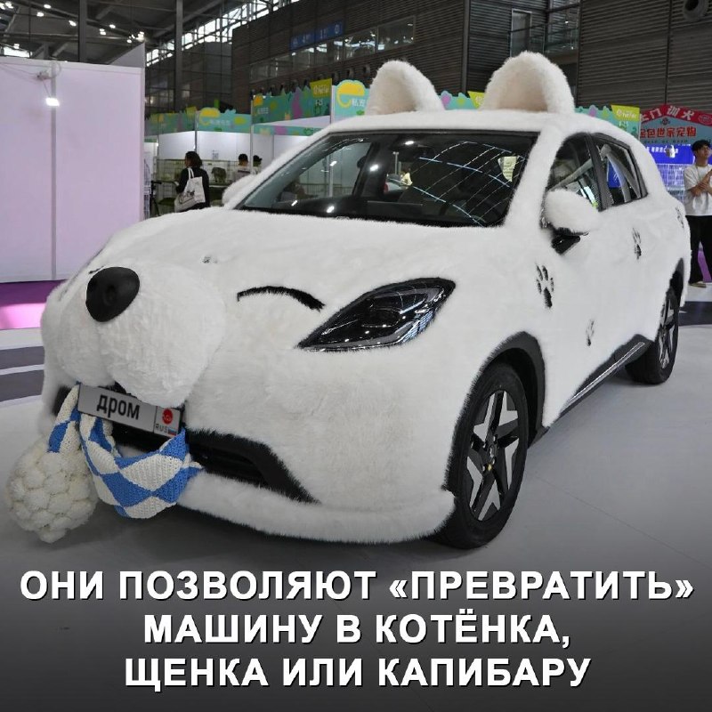 Пушистый тюнинг: китайские водители одевают автомобили в меховые чехлы Пушистый тюнинг: китайские водители одевают автомобили в меховые чехлы